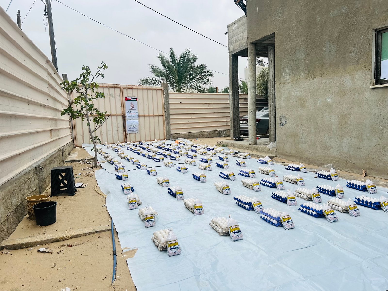 مشروع توزيع الحصص الغذائية (طبق بيض + دجاجة مجمدة)