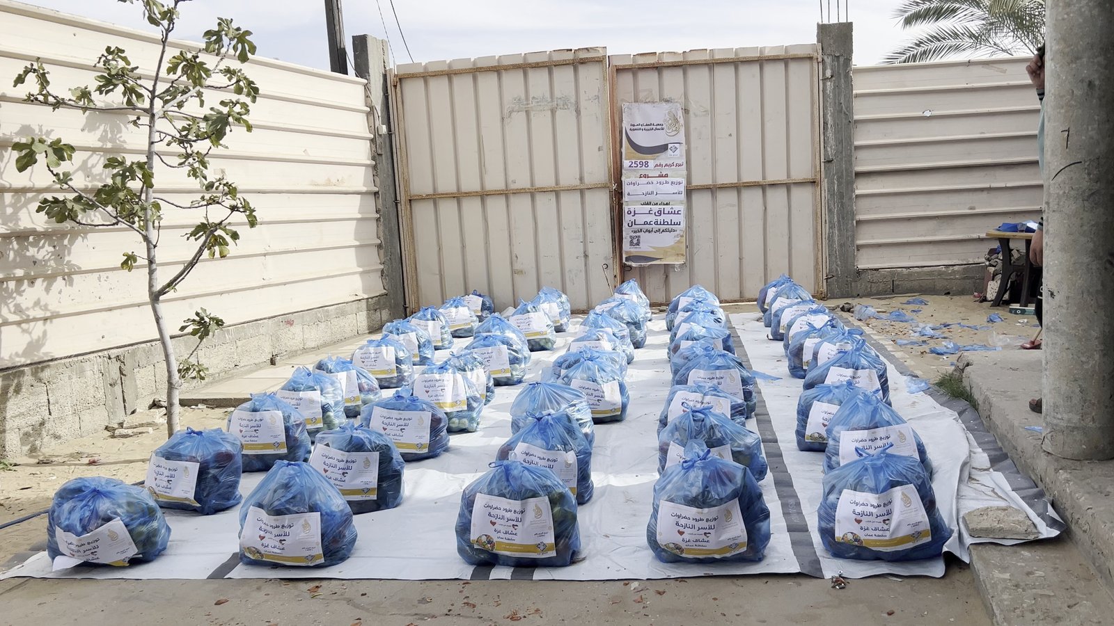 مشروع توزيع الخضراوات الطازجة