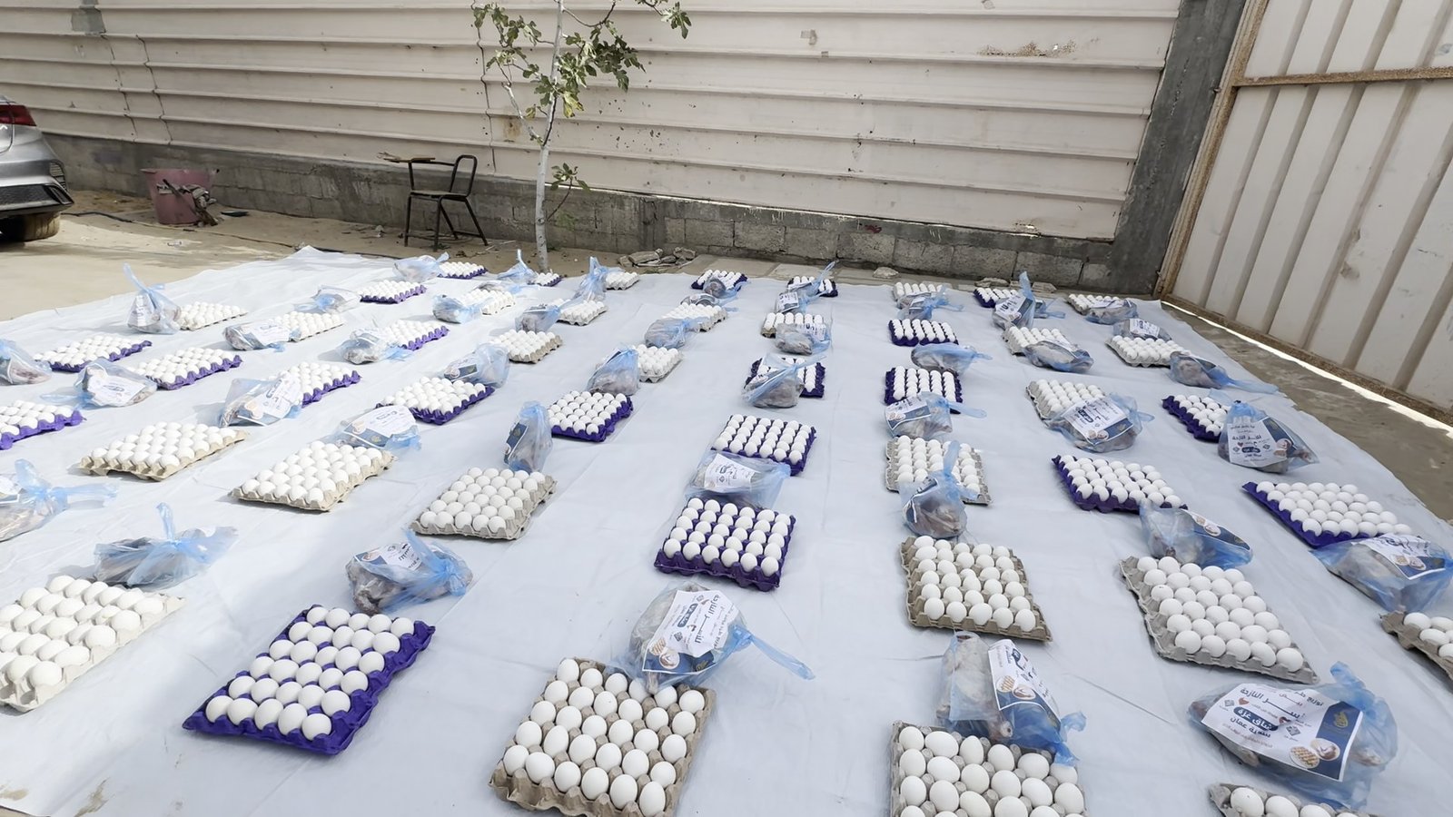 مشروع توفير البروتين الغذائي